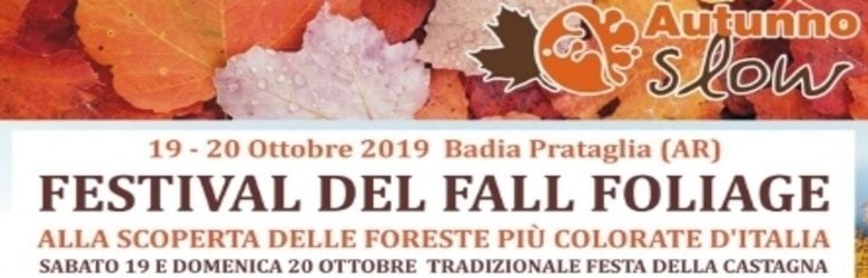 Fall Foliage Casentino 2019