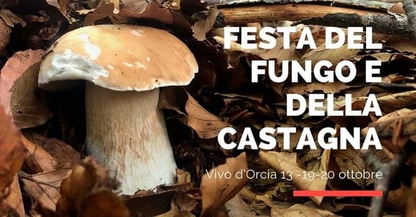 Festa Fungo Castagna Vivo d Orcia