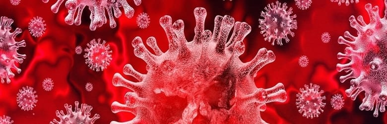 Casi Coronavirus