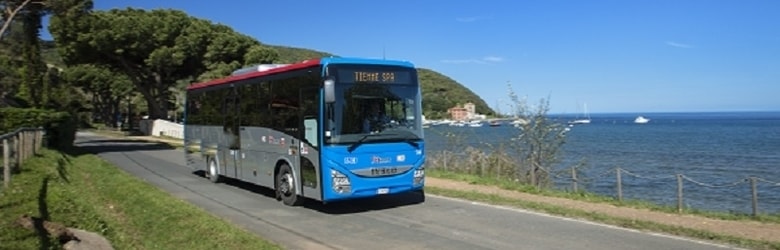 Autobus Arezzo Costa Tirrenica 2020