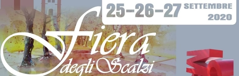 Fiera Pisa Viale delle Piagge