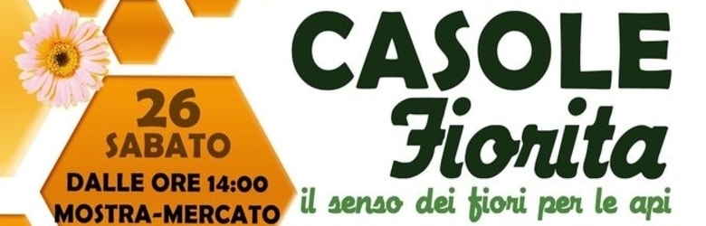 Mostra Api Casole