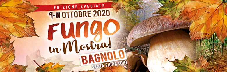 Sagra del Fungo Amiatino 2020 - Mostra del Fungo a Bagnolo Santa Fiora