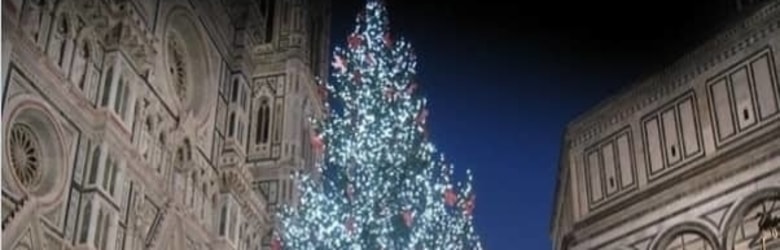 Albero Firenze Piazza Duomo 2020