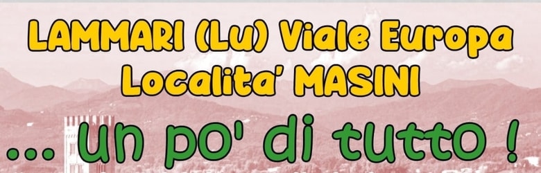 Mercatini Lammari