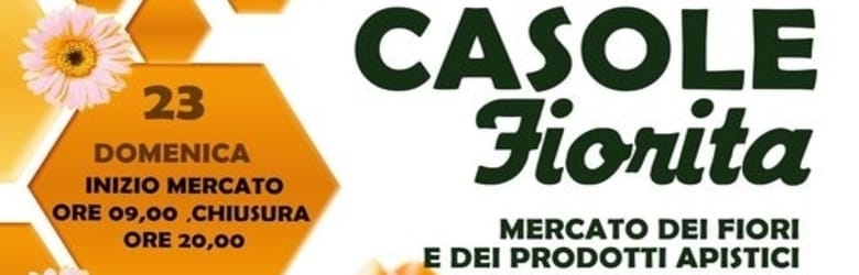 Mostra Api Casole 2021