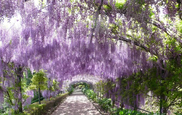 Riapertura Villa Bardini Firenze 2021