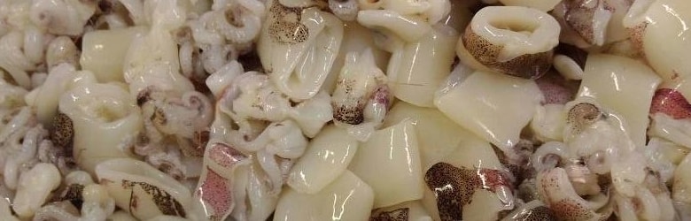 Sagra Pesce Bassa 2021