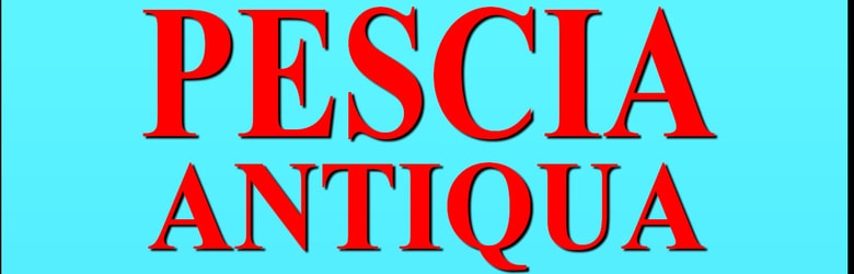 Mercatino Mensile Pescia