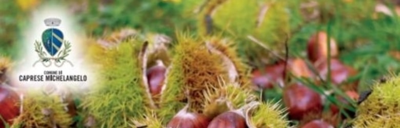 Sagra Castagne Caprese Michelangelo