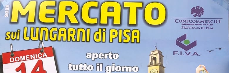 Mercatino sui lungarni pisani