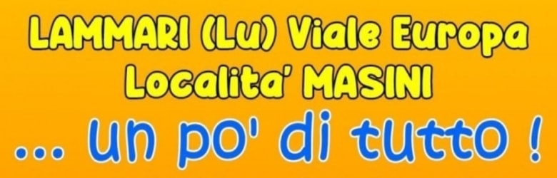 Mercatino Usato Capannori Novembre