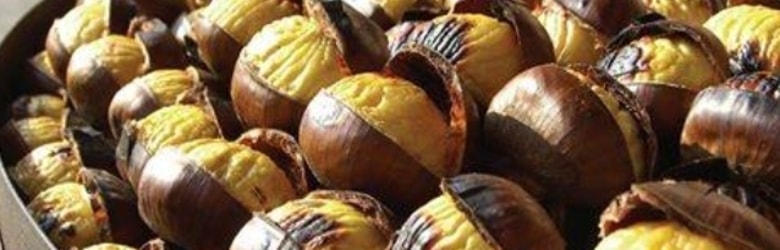 Sagre Castagne Massa Carrara