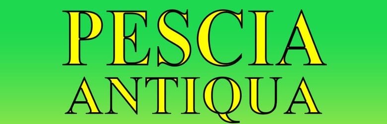 Mercatini Pistoia Domenica 23 Gennaio