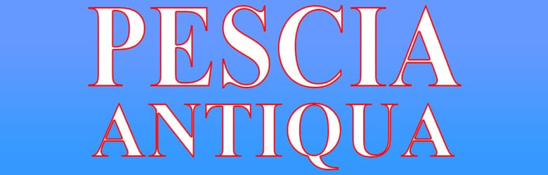 Mercatino Pescia 27 Febbraio