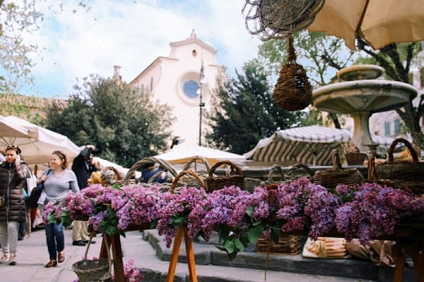 Fierucola Firenze Marzo 2022