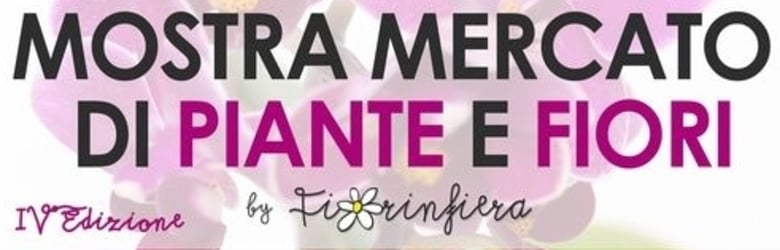 Fiori Piante Sesto Fiorentino