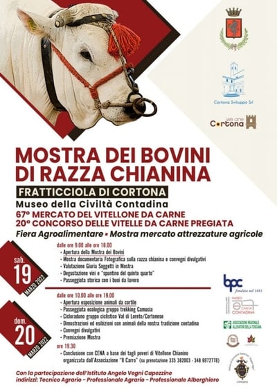 Mostra dei Bovini di Razza Chianina 2022 