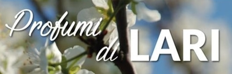 Sagra delle Ciliegie Lari Anteprima