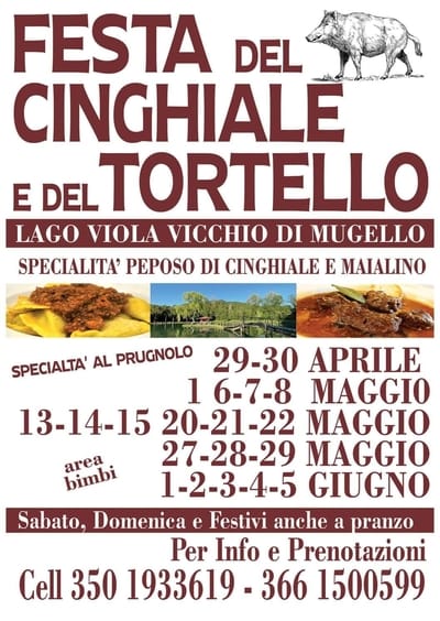 Festa Cinghiale Tortello Vicchio 2022