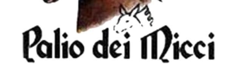 Palio Asini Querceta
