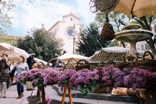 Fierucola Firenze Maggio 2022