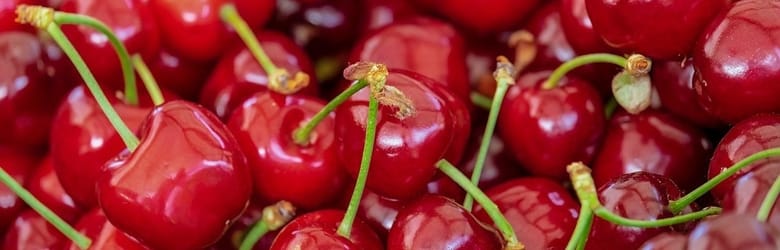 Sagre Toscana Domenica 26 Giugno