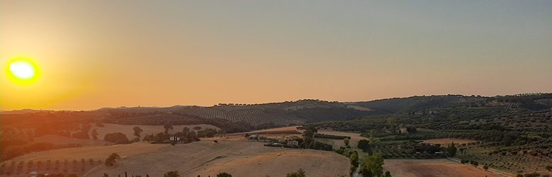 Sagre a Montiano Estate 2022