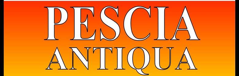 Mercato Antiquariato a Pescia Agosto 2022