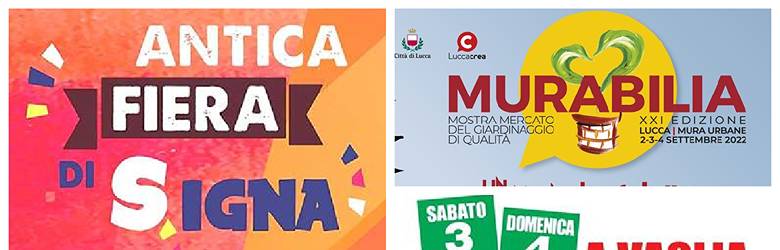 Cosa fare in Toscana 2 3 4 Settembre