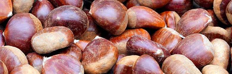 Sagre delle Castagne Prato 2022