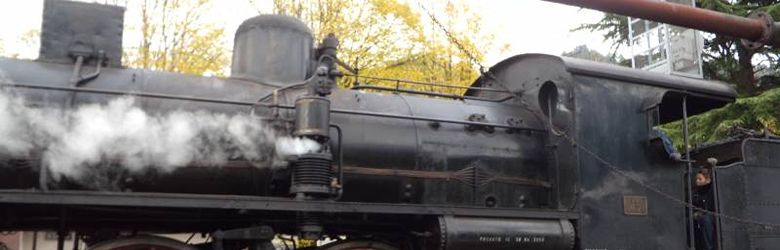 Treno per la Sagra di Marradi