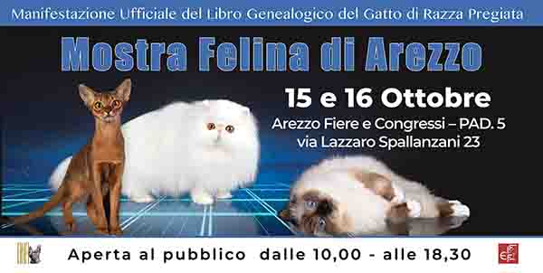 Manifesto Mostra Felina di Arezzo 15-16 Ottobre 2022