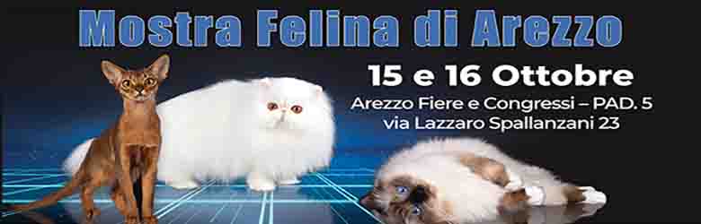 https://www.cosafareintoscana.it/wp-content/uploads/2022/10/Mostra-Felina-di-Arezzo-15-16-Ottobre-2022-Cats-Village-Show.jpg