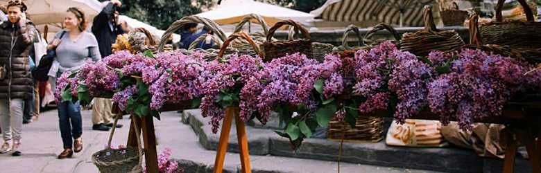 Fierucolina Firenze Ottobre 2022