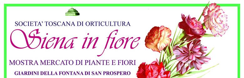 Mostra Mercato Fiori Siena Ottobre 2022