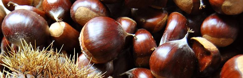 Sagra delle Castagne Castelnuovo Garfagnana