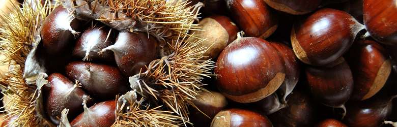 Sagre Garfagnana Ottobre Novembre 2022