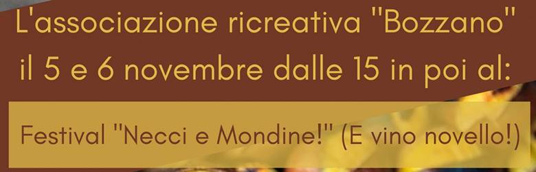 Sagre Massarosa Novembre 2022
