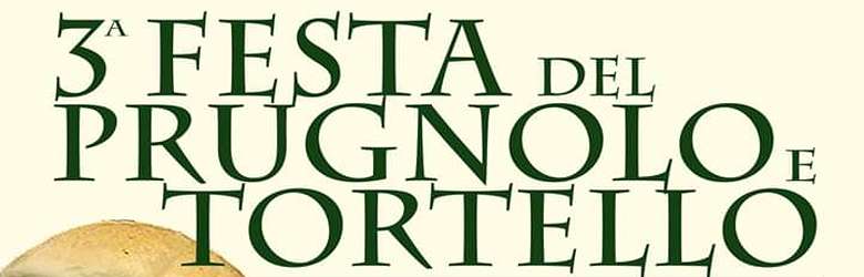 Festa del Tortello Vicchio 2023