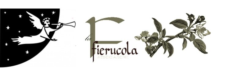 Mercati Firenze Domenica 16 Luglio
