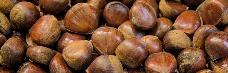Feste delle Castagne Lunigiana 2023