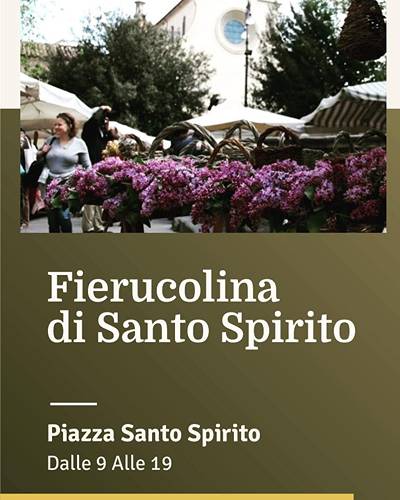 Fierucolina Firenze Ottobre 2023