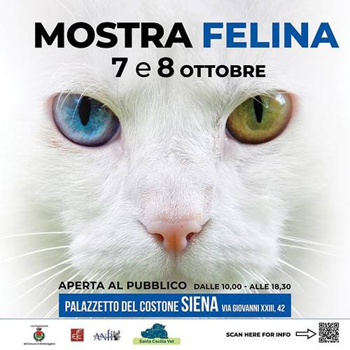 Mostra Felina Siena 2023