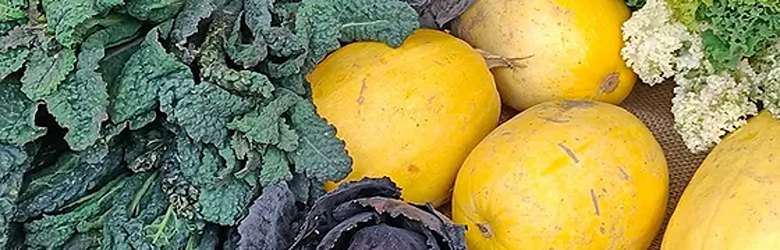 Mercatini Firenze Domenica 21 Gennaio 2024