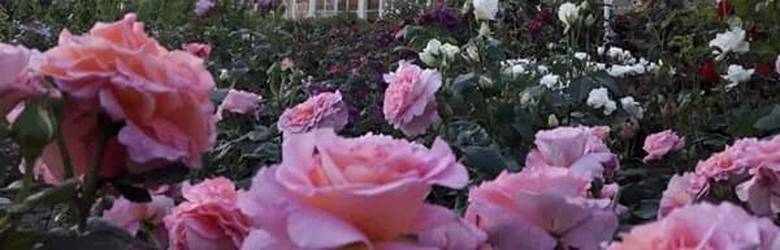 Mostre Mercato Fiori Piante Toscana 2024
