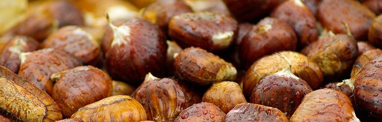 Sagre Toscana Domenica 25 Febbraio 2024