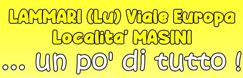 Mercatino mensile Lammari