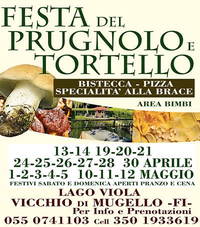 Festa del Prugnolo e Tortello Vicchio 2024