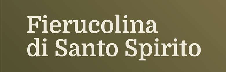 Mercatini Firenze Domenica 19 Maggio 2024